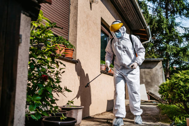 Best Flea Control Services  in Muleshoe, TX