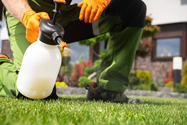 Best Mosquito Control Services  in Muleshoe, TX