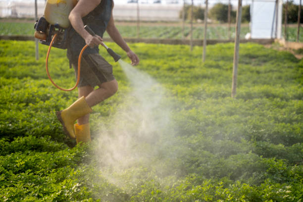 Best Cockroach Control Services  in Muleshoe, TX