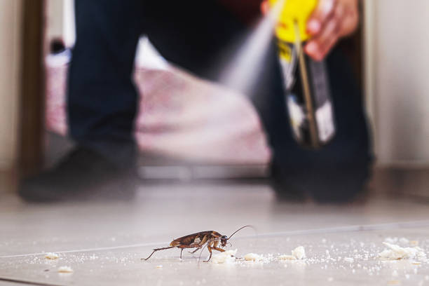 Best Wildlife Control Services  in Muleshoe, TX