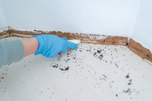 Best Commercial Pest Control Services  in Muleshoe, TX