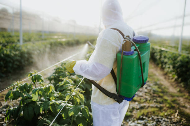 Trusted Muleshoe, TX Pest Control Experts